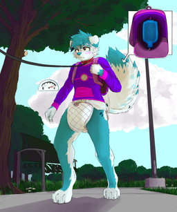 backpack bench blush blush_lines clothed clothing collar diaper enema enema_bag exhibitionism grass leash male park park_bench plant public solo street_lamp sweater topwear translucent tree wearing_diaper sonpop nintendo pokemon generation_7_pokemon pokemon_(species) rockruff 5:6 absurd_res hi_res