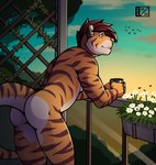 anthro blue_sky brown_body brown_fur brown_hair brown_stripes butt cloud container countershading cup ear_piercing ear_stud flower fur hair holding_container holding_cup holding_mug holding_object inner_ear_fluff leaning leaning_on_railing looking_away male mug muscular muscular_male nude_male orange_body orange_clouds orange_fur orange_sky piercing pink_nose plant plant_pot railing sky solo standing stripes sunset tail thick_tail tree trellis tuft vines whisker_spots white_body white_fur d3mo demo_(d3mo) arthropod avian bee bird felid hymenopteran insect mammal pantherine tiger 2020 hi_res signature