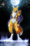 canine digimon fox ice lascha mammal moon renamon standing stars video_games
Rating: Questionable
Score: 3
User: NekoBot
Date: March 08, 2014
