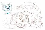 action_pose angry blue_eyes ear_tuft female fluffy fluffy_tail happy inner_ear_fluff jewelry male multiple_poses notched_ear nude orange_eyes pose stretching tail tuft servalsketch felid feline mammal tetton absurd_res hi_res multiple_images restricted_palette sketch