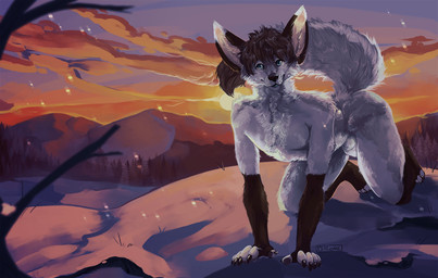all_fours animal_genitalia anthro athletic athletic_anthro athletic_male balls black_body black_fur blue_eyes detailed_background dipstick_tail fully_sheathed fur genitals looking_at_viewer male male_anthro markings mountain nude nude_anthro nude_male sheath snow snowing solo sunset tail tail_markings whisker_spots white_body white_fur i-psilone gryphen_(yulkine) canid canine fennec_fox fox mammal true_fox 2021 hi_res