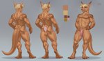 3_toes anthro balls butt digitigrade feet genitals hand_on_hip male multiple_poses notched_ear nude penis pose simple_background solo standing toes loonyellie kangaroo macropod mammal marsupial 2020 model_sheet