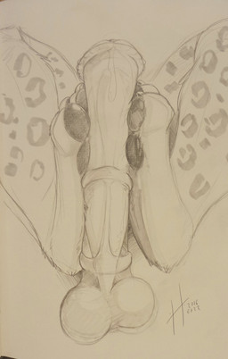 ambiguous_gender animal_genitalia animal_penis anthro balls bodily_fluids duo equine_genitalia equine_penis erection feet foot_fetish foot_play footjob genital_fluids genitals male male/ambiguous medial_ring pawpads penis precum precum_on_penis sex simple_background spotted_legs hufnaar 2016 dated hi_res signature traditional_media_(artwork)