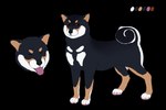 ambiguous_gender black_body black_fur brown_body brown_fur eyes_closed feral fur mouth_closed open_mouth pink_tongue side_view solo tongue tongue_out white_body white_fur roobin canid canine canis domestic_dog mammal alpha_channel hi_res model_sheet