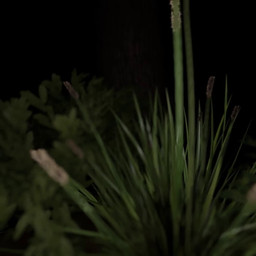 big_tongue bodily_fluids breath darkness feral first_person_view hand_on_tongue inside_mouth internal internal_oral mouth_play mouth_shot mud nude open_mouth oral oral_vore prey_pov saliva saliva_string size_difference soft_vore swallowed swallowed_alive swallowing swamp throat tongue tongue_out vore vore_pov willing_prey silly_roll sunsetsarsaparilla_(modeler) common_hippopotamus hippopotamid human mammal 1:1 3d_(artwork) 3d_animation animated digital_media_(artwork) long_playtime sound webm