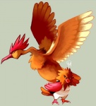 ambiguous_gender avian_caruncle beak comb_(anatomy) duo feathered_wings feathers feet feral head_crest simple_background standing talons toes wings spacesmilodon nintendo pokemon avian bird fearow generation_1_pokemon pokemon_(species) spearow