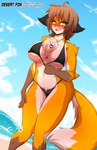 anthro beach big_breasts bikini blush breasts chest_tuft clothing female fur multicolored_body multicolored_fur seaside solo swimwear tuft two-piece_swimsuit sagestrike2 destiny_(sagestrike2) canid canine fox mammal hi_res