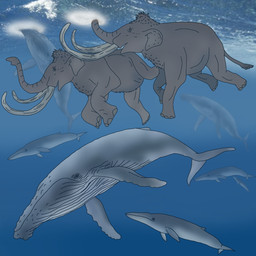 brown_body brown_fur feral fur grey_body grey_skin group proboscis_(anatomy) quadruped swimming trunk_(anatomy) tusks underwater water young olmagon aquatic baleen_whale cetacean columbian_mammoth elephantid humpback_whale mammal mammoth prehistoric_species proboscidean pygmy_mammoth whale 1:1 hi_res