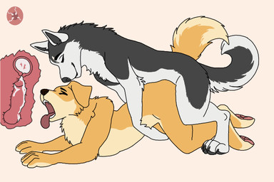 animal_genitalia animal_penis anthro anthro_on_feral anthro_penetrated bestiality bestiality_impregnation bodily_fluids canine_genitalia canine_penis cervix cum cum_in_uterus cum_inside cutaway doggystyle duo erection female female_penetrated feral feral_penetrating feral_penetrating_anthro from_behind_position genital_fluids genitals impregnation internal intraspecies intraspecies_bestiality knot knotted_penis knotting male male/female male_penetrating male_penetrating_female penetration penile penile_penetration penis sex uterus vaginal vaginal_knotting vaginal_penetration unknown_artist bird_dog canid canine canis domestic_dog golden_retriever hunting_dog husky mammal nordic_sled_dog retriever spitz 3:2