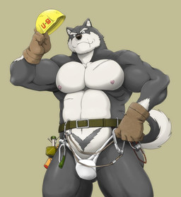 abs anthro belt biceps big_muscles biped clothed clothing construction_worker front_view fur jockstrap looking_at_viewer male muscular muscular_anthro muscular_male nipples pecs pose scar solo speedo standing swimwear tail tool_belt topless underwear worker neyukidou gantetsu canid canine canis domestic_dog husky mammal nordic_sled_dog spitz portrait three-quarter_portrait