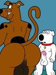 anthro anthrofied anus balls big_balls big_butt butt collar duo erection genitals looking_back male male/male penis red_collar smile teeth tbfm family_guy hanna-barbera scooby-doo_(series) brian_griffin scooby-doo canid canine canis domestic_dog great_dane mammal mastiff molosser hi_res