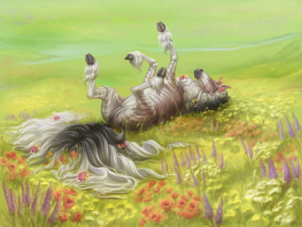 ambiguous_feral ambiguous_gender cloven_hooves feral field flowers_in_fur fur grass hair hooves horn lying mane multicolored_body multicolored_fur multicolored_tail outside plant quadruped realistic solo tail underhoof unguligrade beesa mythology equid equine hybrid mammal mythological_creature mythological_equine unicorn zebra 2022 4:3 digital_media_(artwork) hi_res signature