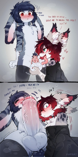 ambiguous_gender anthro balls biped blush bodily_fluids chastity_cage chastity_device clothed clothing dialogue duo erection eyes_closed fur genitals glans green_eyes hair male penis pubes question_mark red_hair simple_background sweat teeth swaybat felid feline lagomorph leporid mammal rabbit hi_res