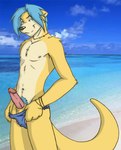 anthro athletic beach biceps biped blue_clothing blue_eyes blue_hair blue_speedo blue_swimwear chest_tuft clothed clothing cloud detailed_background erection fur genitals hair humanoid_genitalia humanoid_penis jewelry looking_at_viewer male multicolored_jewelry multicolored_necklace muscular muscular_anthro muscular_male necklace outside pecs penis photo_background pink_penis pubes rainbow_jewelry rainbow_necklace rainbow_symbol sand sea seaside short_hair sky smile solo speedo standing stated_homosexuality stated_sexuality swimwear tail tan_body tan_fur topless tuft water marcwolfie mammal mustelid otter photography_(artwork)