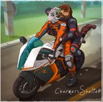 anthro biker boots clothing duo footwear male motorcycle outside shoes vehicle charmersshelter canid canine canis domestic_dog equid equine horse mammal hi_res