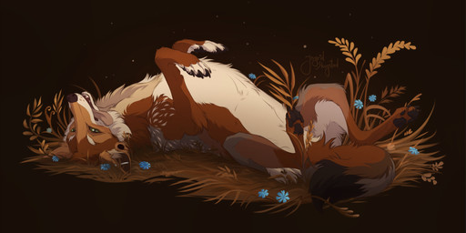 ambiguous_gender complex_markings complex_shading cornflower_(flower) ear_piercing feral flower grass happy lying lying_on_ground nature on_back on_ground pawpads piercing plant rolling simple_background solo tongue tongue_out ingridskogstad canid canine canis coyote mammal 2025 digital_drawing_(artwork) digital_media_(artwork) digital_painting_(artwork) full-length_portrait hi_res paint_tool_sai_(artwork) painting_(artwork) portrait