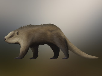 ambiguous_gender band brown_body brown_fur claws feral fur long_tail solo tail white_body white_fur paleo.historic allotheria mammal 3d_(artwork) 4:3 digital_media_(artwork) hi_res