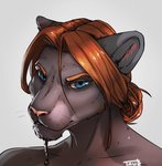 anthro blue_eyes brown_hair eyebrows eyelashes fur grey_body grey_fur hair male simple_background solo white_background taurusart felid feline mammal digital_media_(artwork) headshot_portrait hi_res portrait