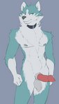 absurd_res animal_genitalia anthro balls blue_body blue_eyes blue_fur brand_new_animal canid canine canis erection fluffy fur futaku genitals grey_background hi_res male mammal navel nipples nude penis shirou_ogami simple_background solo standing studio_trigger wolf
