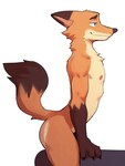 anthro arched_back butt claws eyebrows fur male muscular muscular_anthro muscular_male narrowed_eyes nipples nude side_view simple_background smile solo thick_thighs tuft white_background jrjresq disney zootopia nick_wilde canid canine fox mammal red_fox true_fox 2024 3:4 comment_chain hi_res lol_comments