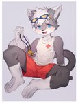 anthro blue_eyes border bottomwear clothing eyewear goggles grey_body hair lifeguard looking_at_viewer male multicolored_body open_mouth shirt shorts sitting solo tank_top topwear whistle_(object) white_border young young_male toye2004 domestic_cat felid feline felis mammal hi_res