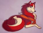 balto_(film) bandanna canine dog female feral husky jenna moonlark
Rating: Safe
Score: 9
User: UniversalLionsgate89
Date: November 16, 2013
