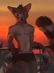 anthro athletic athletic_anthro athletic_male bulge clothed clothing male pecs romantic romantic_ambiance slim solo sunset tail topless twunk koul alx_(alxringtail) bassariscus mammal procyonid ring-tailed_cat