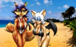 anthro areola areola_slip beach big_breasts blue_eyeshadow blue_hair breasts cleavage clothed clothing cloud detailed_background duo eyeshadow female hair lips looking_at_viewer makeup membrane_(anatomy) membranous_wings nipple_outline outside sand seaside sky swimwear tail water wings graphicbrat sega sly_cooper_(series) sonic_the_hedgehog_(series) sony_corporation sony_interactive_entertainment sucker_punch_productions carmelita_fox rouge_the_bat bat canid canine fox mammal