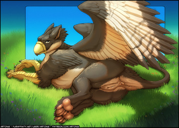 anus beak feathered_crest feathered_wings feathers female female_feral feral fur genitals grass head_crest looking_at_viewer lying nude paws plant quadruped raised_tail solo tail tail_anus vulva wings artonis mythology avian gryphon mythological_avian mythological_creature hi_res