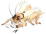 ambiguous_gender feral male mid_transformation solo transformation phytophile arthropod cricket human insect mammal orthopterid hi_res