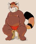 anthro asian_clothing belly big_belly brown_body clothing east_asian_clothing fundoshi japanese_clothing kemono male moobs navel nipples overweight overweight_male red_clothing red_fundoshi red_underwear sitting solo underwear aotadobukitch ailurid mammal red_panda 2024 hi_res