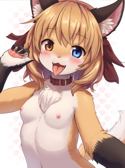 4_fingers accessory anthro areola black_body black_fur blonde_hair blue_eyes blush breasts brown_body brown_fur chest_tuft collar countershading dipstick_tail fangs female female_anthro fingerpads fingers fluffy fur gloves_(marking) hair hair_accessory heart_symbol heterochromia inner_ear_fluff kemono looking_at_viewer markings multicolored_body multicolored_fur nipples nude open_mouth pawpads pink_nose selfie small_breasts solo tail tail_markings tan_body tan_fur tan_hair teeth tongue tongue_out tuft white_body white_fur yellow_eyes sinelesh canid canine fox mammal 2023 digital_media_(artwork) half-length_portrait hi_res portrait translated_description