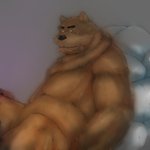 anthro black_nose brown_body brown_fur fur kemono male overweight overweight_anthro overweight_male solo laohu shirokuma_cafe grizzly_(shirokuma_cafe) bear mammal 1:1 2020 hi_res