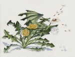 ambiguous_gender camouflaged dandelion feral flower open_mouth plant seed simple_background solo white_background heather_bruton mythology dragon mimic_dragon mythological_creature mythological_scalie scalie 2015