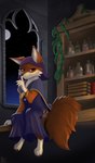 anthro book female looking_at_viewer night potion potion_bottle sitting solo window witch_costume chaoui redwall sela_(redwall) canid canine fox mammal absurd_res hi_res