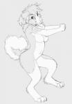 ankh anthro breasts curled_tail female fluffy fluffy_tail nude pose simple_background solo tail aycee rika_(rika) canid canine canis domestic_dog mammal pomeranian spitz hi_res monochrome sketch