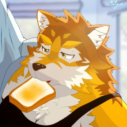 anthro bread butter clothing countershading dairy_products eating food fur male multicolored_body multicolored_fur shirt solo tank_top toast topwear seiga_oekakicho lifewonders live_a_hero barrel_(live_a_hero) canid canine canis mammal wolf 1:1