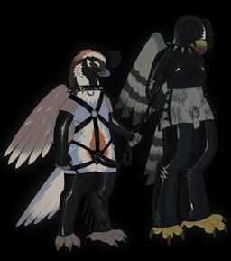 andromorph andromorph_dominating_gynomorph anthro ball_gag balls bdsm beak black_background black_body black_clothing black_collar black_dildo black_feathers black_gloves black_handwear black_harness blue_beak blue_body blue_feathers blue_tail breasts brown_scutes chastity_cage chastity_device clothing collar dildo dominant dominant_andromorph dominant_intersex duo feathers gag gagged genitals gimp_mask gimp_suit gloves green_body green_feathers grey_balls gynomorph handwear harness holding_leash holding_object intersex latex latex_clothing latex_gloves latex_handwear latex_legwear latex_mask latex_shirt latex_stockings latex_topwear leash leashed_collar legwear mask mastectomy_scar multicolored_body multicolored_feathers orange_body orange_feathers scar scutes sex_toy shirt simple_background spiked_collar spikes standing stockings strapon submissive submissive_anthro submissive_gynomorph submissive_intersex tail tan_body tan_feathers topwear yellow_beak yellow_scutes buteoposting accipitrid accipitriform avian bird full-length_portrait hi_res portrait trans_(lore) trans_man_(lore) trans_woman_(lore)