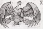 01phoenix01 2019 accipitriform ambiguous/ambiguous ambiguous_gender ass_up avian avian_feet bird digitigrade duo european_mythology feet feral graphite_(artwork) greek_mythology looking_aside looking_at_another looking_at_partner looking_pleasured lying monochrome mythological_avian mythological_bird mythological_creature mythological_firebird mythology on_front outside pen_(artwork) pencil_(artwork) phoenix raised_tail scuted_feet scutes secretary_bird sex shaded spread_wings tail traditional_media_(artwork) vulture wings