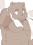 anthro belly big_belly brown_body kemono male moobs nipples overweight overweight_male simple_background solo towel towel_around_neck dv-ch bear mammal 2018 half-length_portrait hi_res portrait