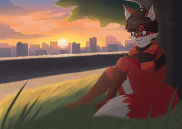 anthro black_hair calm city city_background cityscape clothing cloud cloudy_sky drawing_(action) female fluffy fur grass hair park peaceful_scenery plant red_body red_clothing red_fur relaxed_expression relaxing sitting sky solo stone_floor stone_wall sunset tree wall_(structure) shuiroraijin canid canine fox mammal hi_res