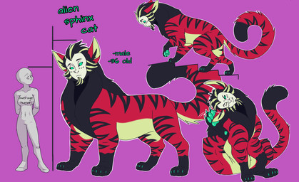 anthro breasts duo faceless_character faceless_female female female_anthro feral fluffy fluffy_tail fur hair human_faced_feral humanoid_face intelligence male male/female mane nude paws red_hair simple_background tail text cajuzinho02 mythology anon fan_character iq alien felid feline human hybrid mammal mythological_creature mythological_sphinx pantherine tiger absurd_res hi_res