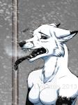 2013 black_eyes black_fur black_lips black_nose black_sclera black_skin breasts canine ears_back english_text fangs female fox fur ice linkaton-furaito naturally_censored nude open_mouth outside small_breasts snow snowing solo teeth text tongue tongue_out watermark white_fur
Rating: Safe
Score: 12
User: Nitrotrinadium
Date: December 01, 2013