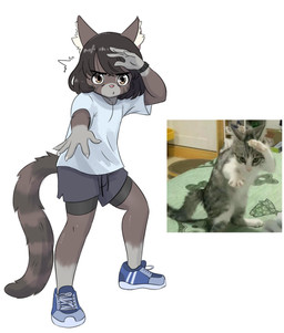 5_fingers anthro black_clothing black_hair black_underwear blue_clothing blue_footwear blue_shoes bottomwear brown_body brown_fur claws clothing finger_claws fingers footwear fur gesture grey_body grey_bottomwear grey_clothing grey_fur grey_shorts hair hand_outstretched inner_ear_fluff leg_markings male markings motion_lines photo photo_reference pink_nose pupils raised_hand salute shaking shirt shoes shorts sneakers socks_(marking) solo topwear trembling tuft underwear white_body white_claws white_clothing white_fur white_inner_ear_fluff white_shirt white_topwear yellow_eyes mr-shin cat_sona_(mr-shin) domestic_cat felid feline felis mammal 2025 hi_res meme reference_image