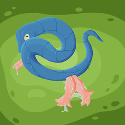 2_penises animal_genitalia animal_penis blue_body bodily_fluids feral forked_tongue genital_fluids genital_slit genitals hemipenes leaking_precum male multi_genitalia multi_penis penis precum precum_string scales solo tongue ventral_scales crystalinespider reptile scalie snake 1:1 digital_drawing_(artwork) digital_media_(artwork) hi_res