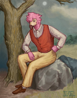 anthro beak boots bottomwear clothed clothed_anthro clothed_male clothing cloud feathers footwear full_moon grass looking_at_viewer male moon night on_rock pants pink_body pink_feathers plant rock shirt shoes sitting sitting_on_rock sky skyscape smile smiling_at_viewer solo star topwear tree reynard_goodfellow avian bird flamingo hi_res