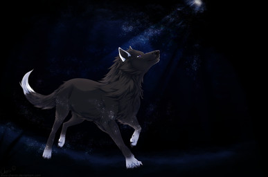 brown_body brown_fur cosmic_fur dark ear_markings facial_markings feral fisheye_lens fur head_markings leg_markings light looking_up male markings moonlight night purple_eyes quadruped running sky socks_(marking) solo star stargazing starry_sky white_markings cherzii billy_wolf canid canine canis mammal wolf digital_media_(artwork) full-length_portrait portrait