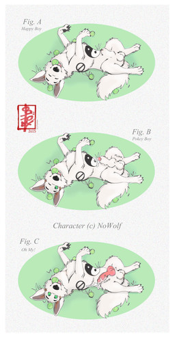 animal_genitalia animal_penis aroused ball balls black_sheath_slit bodily_fluids border canine_genitalia canine_penis closed_sheath_slit erection feral genital_fluids genitals knot knot_in_sheath male penis precum precum_on_penis progression sheath sheath_slit simple_background solo tennis_ball white_border fennec_(artist) nowolf canid canine canis mammal wolf absurd_res digital_media_(artwork) hi_res
