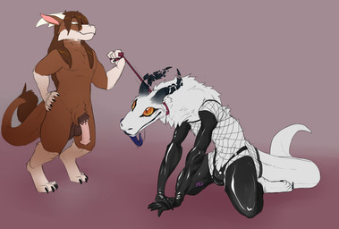 animal_genitalia animal_penis anthro armwear balls big_tail clothing collar duo equine_genitalia equine_penis fishnet_clothing fishnet_shirt fishnet_topwear fur genitals gloves hair handwear horn latex latex_armwear latex_clothing latex_gloves latex_handwear latex_legwear leash leash_pull leashed_collar leashed_male legwear male male/male nude penis shirt simple_background smile submissive submissive_male tail tongue topwear white_body white_fur conditional_dnp mej mythology sorrow_(sorrowsynx) three_(character) dragon equid equine felkin furred_scalie mammal mythological_creature mythological_scalie scalie synx absurd_res digital_media_(artwork) hi_res