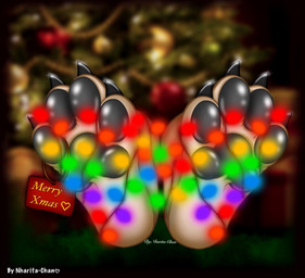 anthro christmas_decorations christmas_lights feet foot_focus gift_tag holidays male pawpads paws solo string_lights nharita-chan christmas cain_the_dingo canid canine canis dingo mammal hi_res